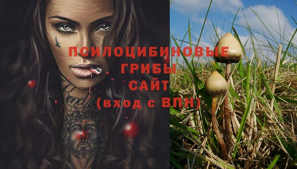 2c-b Абдулино