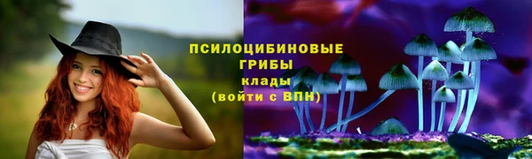 2c-b Абдулино