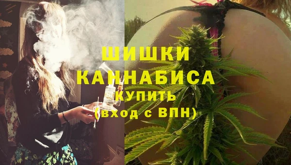 дживик Абаза