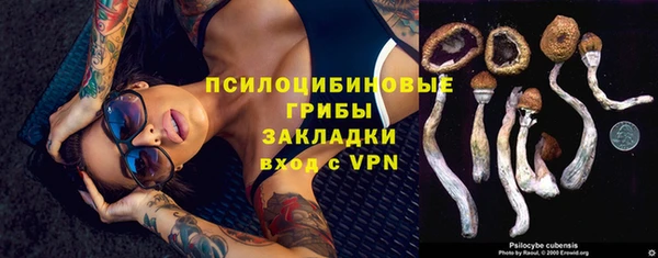 мяу мяу мука Абинск